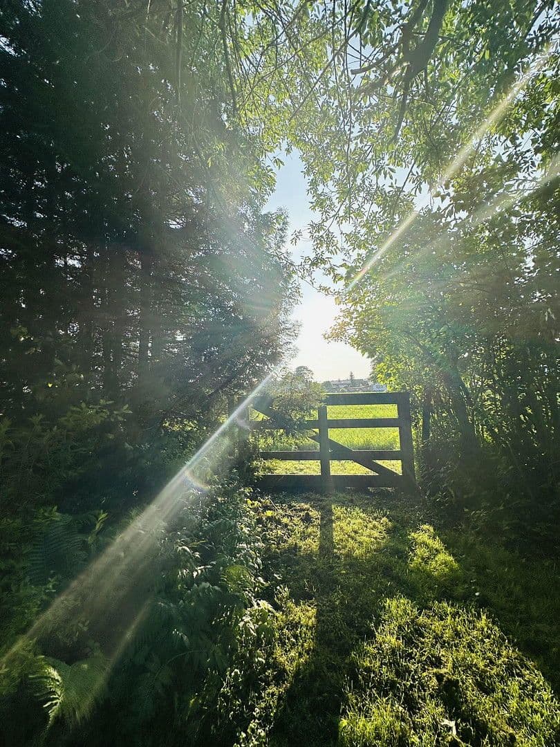 Prodej domu 85 m², pozemek 680 m², Halblech, Bavorsko Prodej domu 85 m², pozemek 680 m², Halblech, Bavorsko