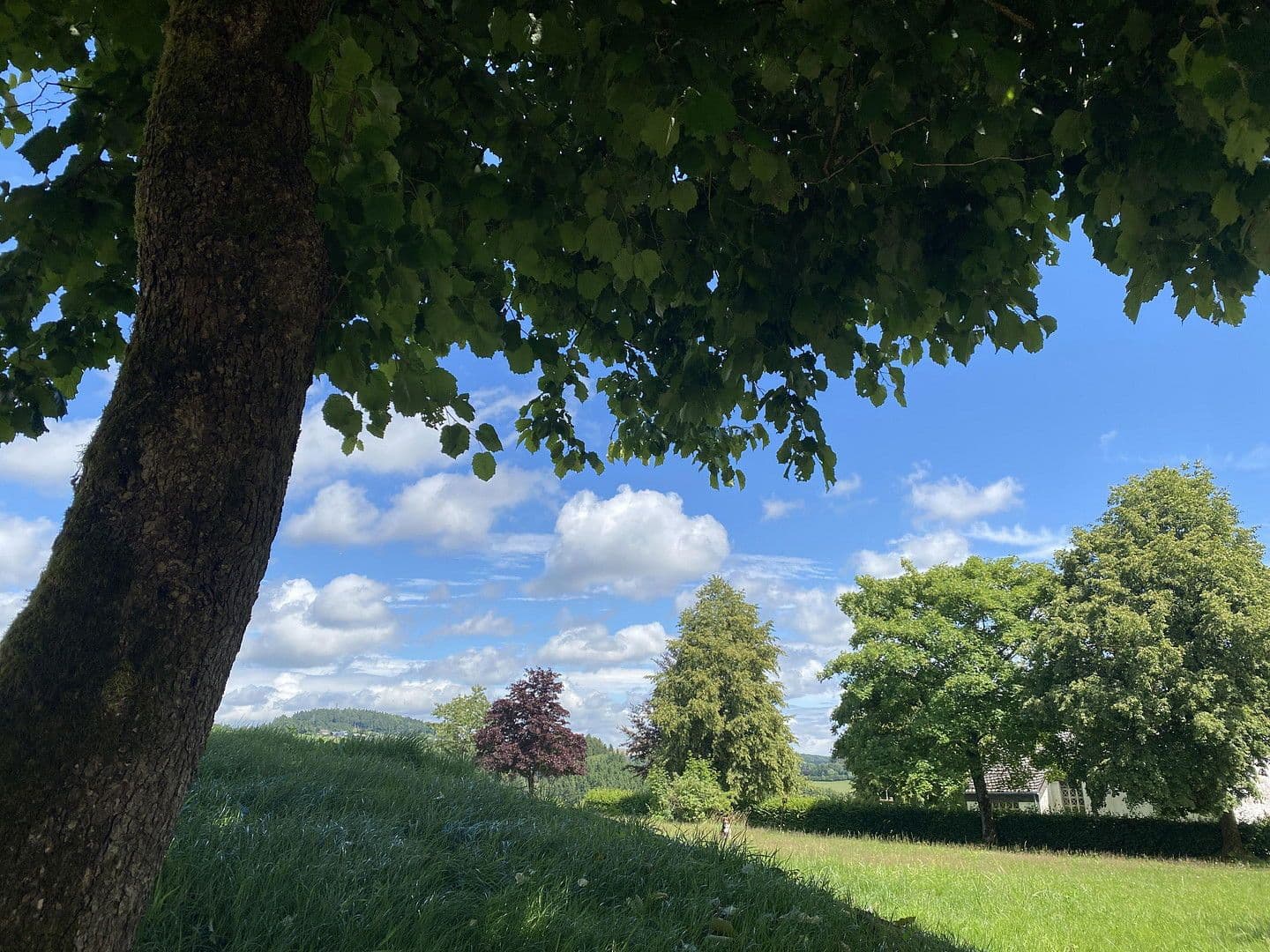 Pronájem bytu 2+1 58 m², Delleweg 21, Winterberg, Severní Porýní-Vestfálsko Pronájem bytu 2+1 58 m², Delleweg 21, Winterberg, Severní Porýní-Vestfálsko