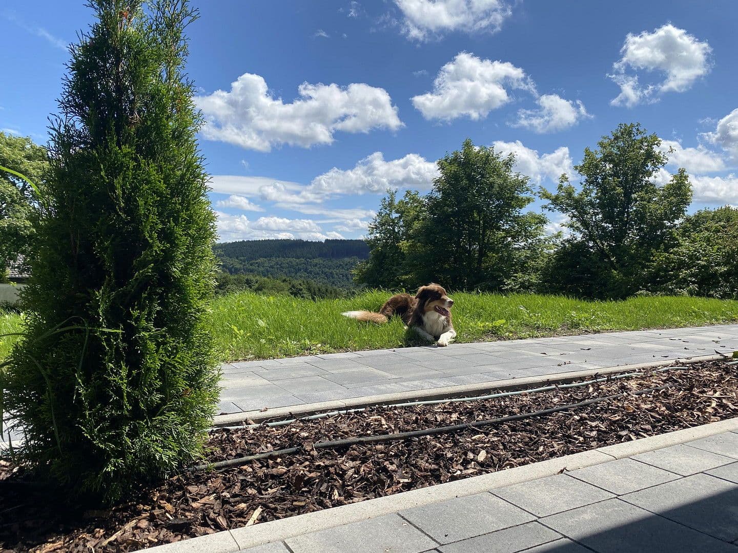 Pronájem bytu 2+1 57 m², Delleweg 21, Winterberg, Severní Porýní-Vestfálsko Pronájem bytu 2+1 57 m², Delleweg 21, Winterberg, Severní Porýní-Vestfálsko