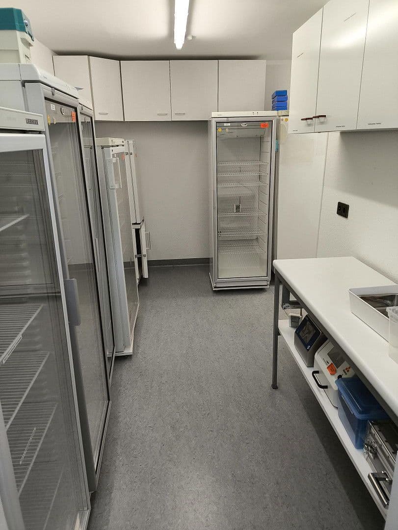 Pronájem kanceláře 500 m², Londoner Ring 105, Ludwigshafen am Rhein, Porýní-Falc Pronájem kanceláře 500 m², Londoner Ring 105, Ludwigshafen am Rhein, Porýní-Falc