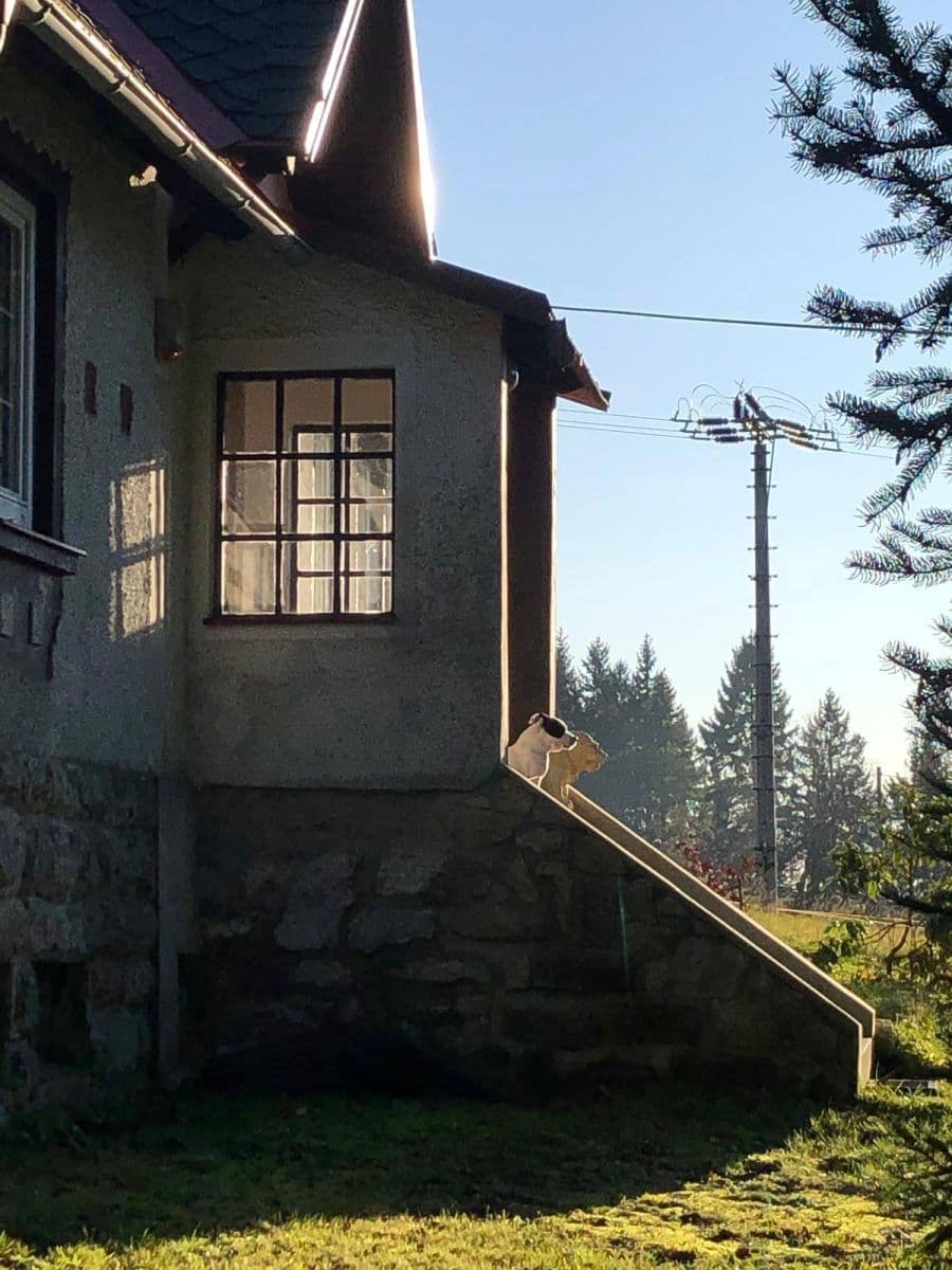 Pronájem chaty, chalupy, Nová Ves nad Nisou, Liberecký kraj Pronájem chaty, chalupy, Nová Ves nad Nisou, Liberecký kraj