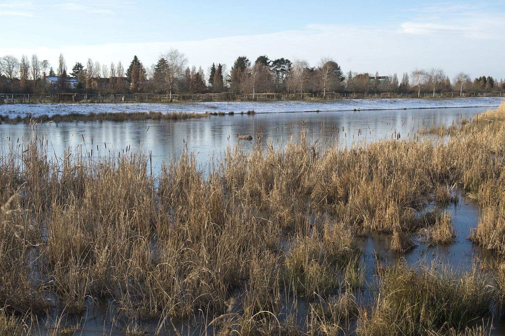 Prodej domu 157 m², pozemek 1.163 m², Berlin, Berlín Prodej domu 157 m², pozemek 1.163 m², Berlin, Berlín