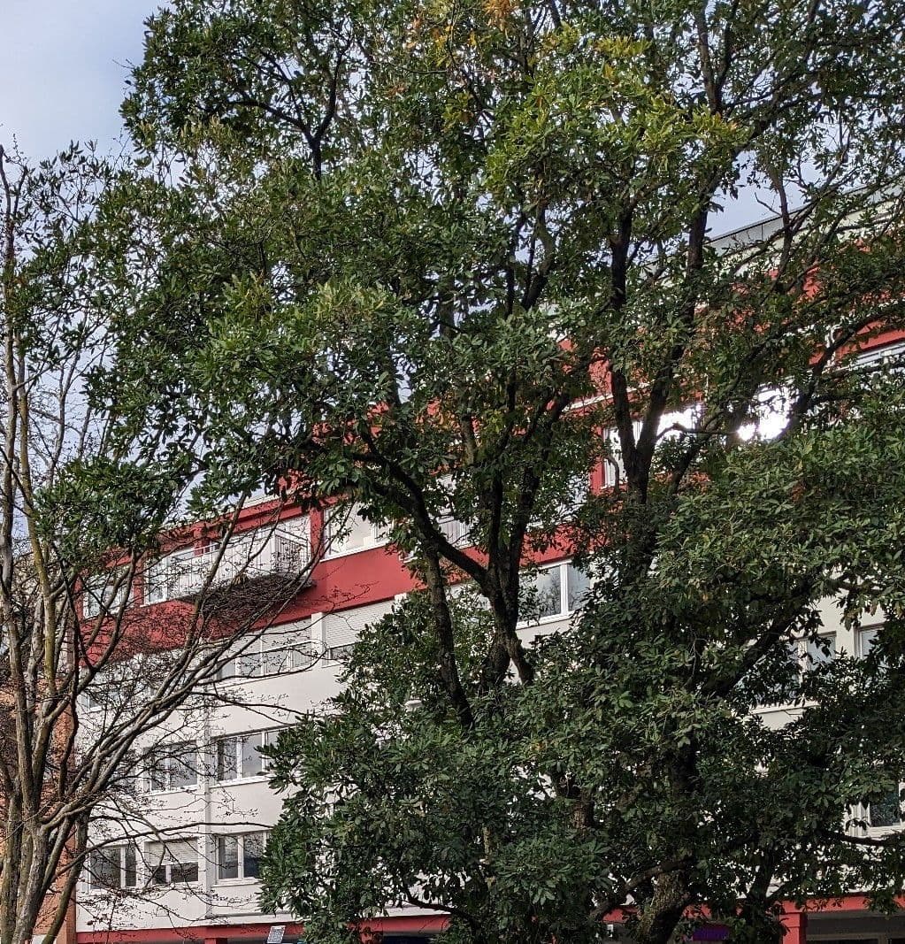 Prodej bytu 4+1 99 m², Heidelberg, Bádensko-Württembersko Prodej bytu 4+1 99 m², Heidelberg, Bádensko-Württembersko