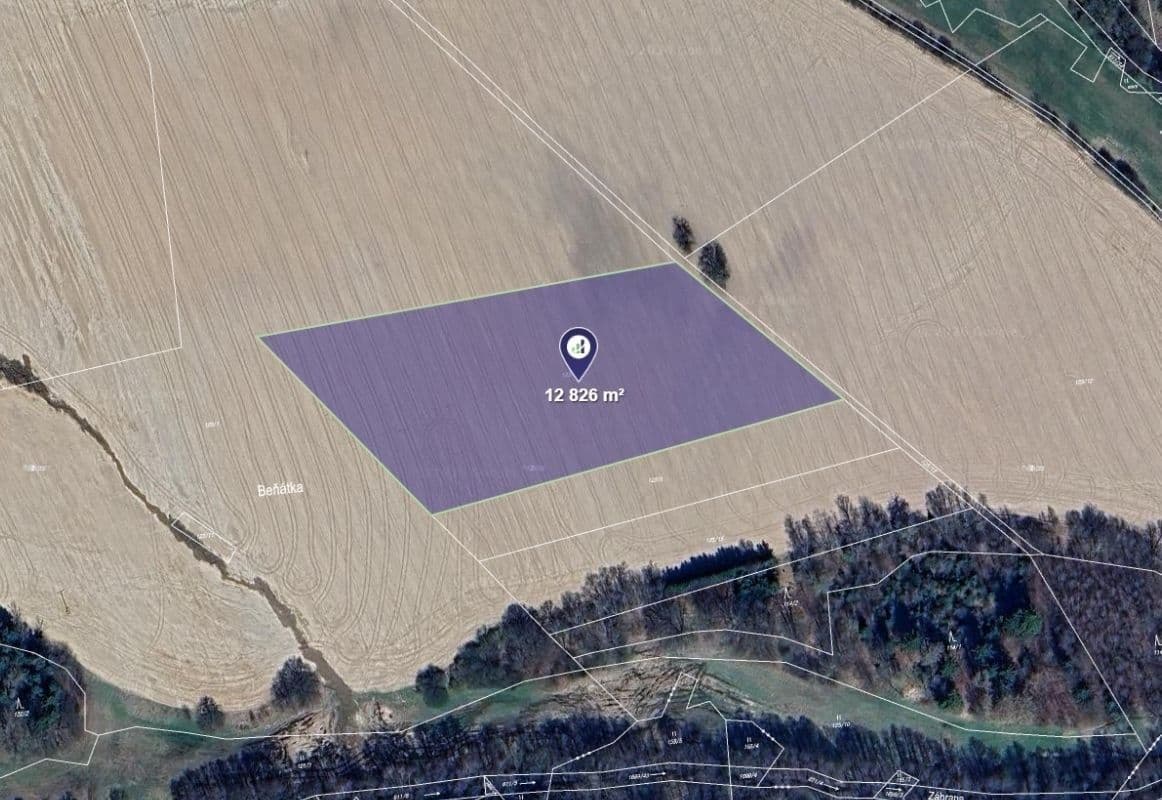 Prodej pozemku 12.826 m², Buková, Olomoucký kraj Prodej pozemku 12.826 m², Buková, Olomoucký kraj