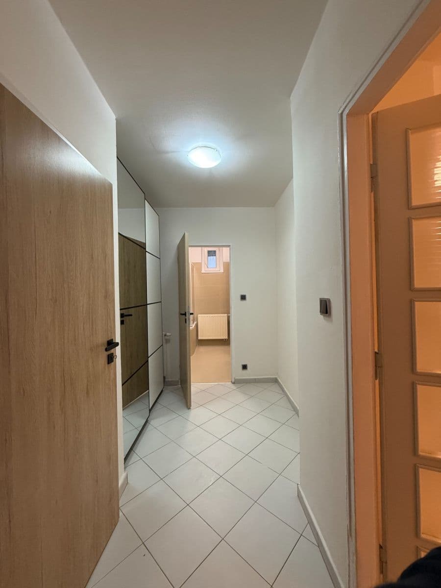 Pronájem bytu 1+kk 45 m², Mydlářka, Praha, Praha Pronájem bytu 1+kk 45 m², Mydlářka, Praha, Praha