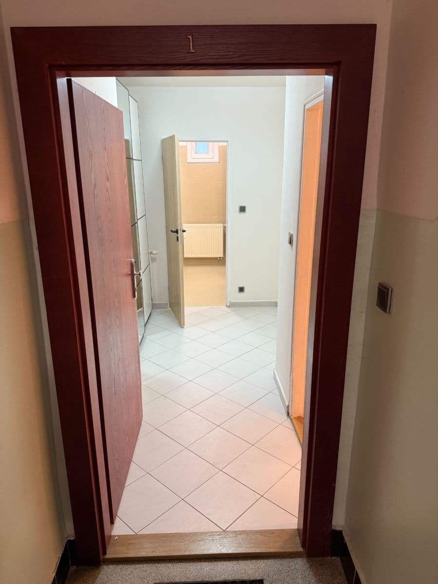 Pronájem bytu 1+kk 45 m², Mydlářka, Praha, Praha Pronájem bytu 1+kk 45 m², Mydlářka, Praha, Praha