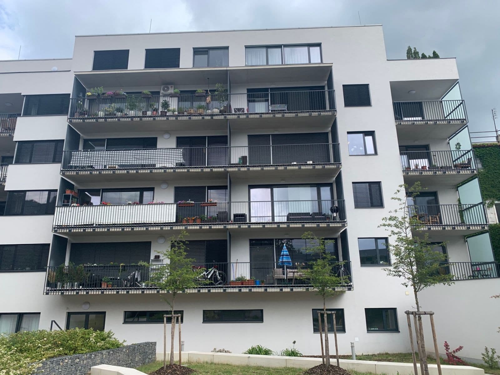 Pronájem bytu 3+kk 75 m², Kollárova, Brno, Jihomoravský kraj Pronájem bytu 3+kk 75 m², Kollárova, Brno, Jihomoravský kraj