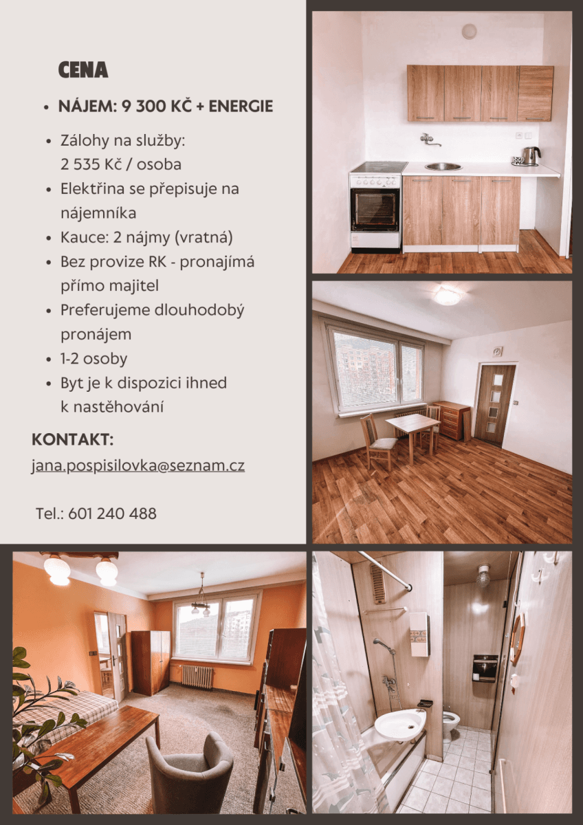 Pronájem bytu 1+1 36 m², Nová, Ústí nad Labem, Ústecký kraj Pronájem bytu 1+1 36 m², Nová, Ústí nad Labem, Ústecký kraj