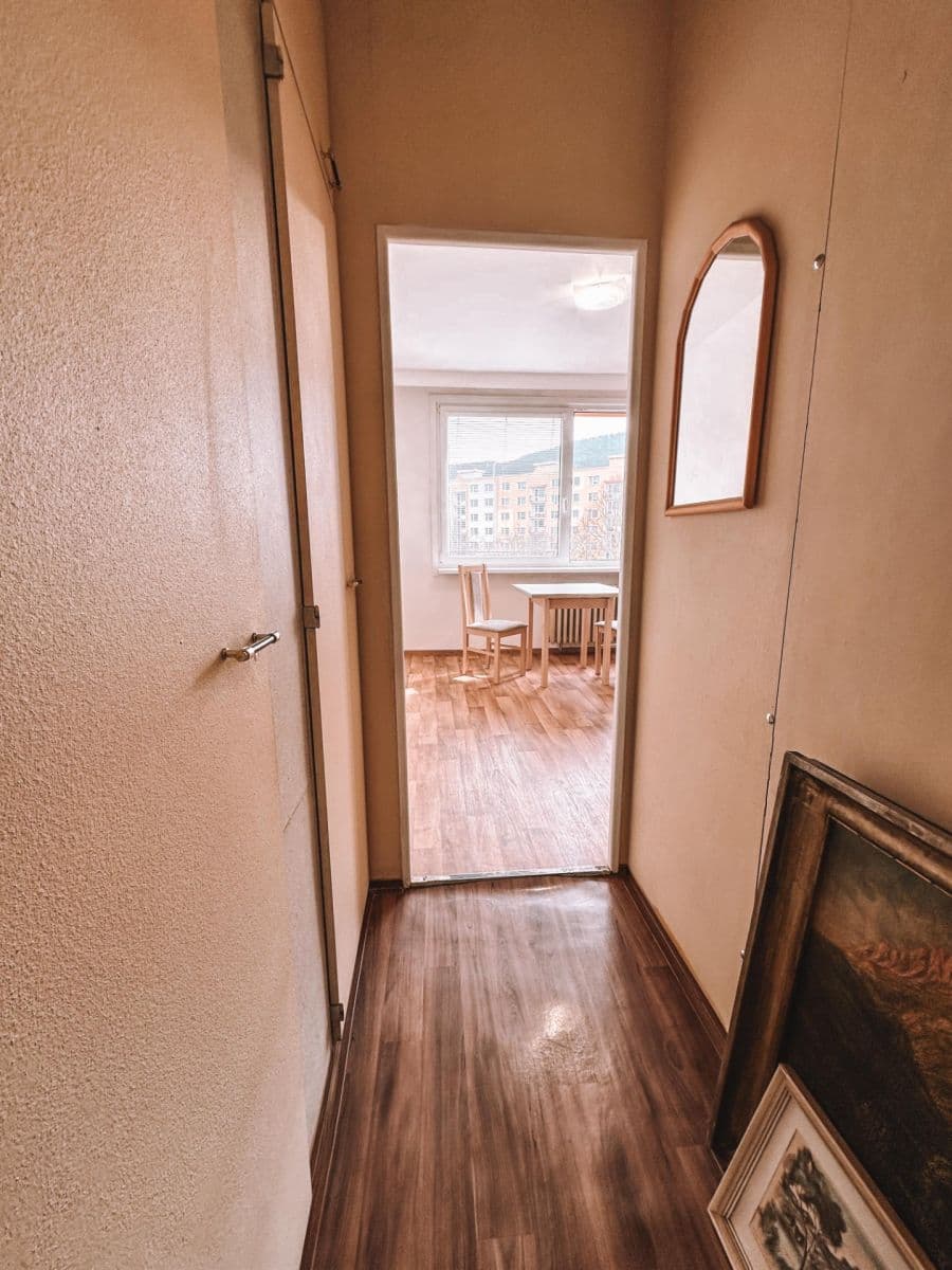 Pronájem bytu 1+1 36 m², Nová, Ústí nad Labem, Ústecký kraj Pronájem bytu 1+1 36 m², Nová, Ústí nad Labem, Ústecký kraj