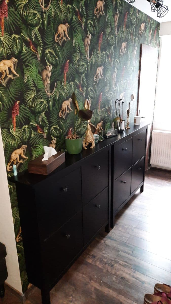 Pronájem bytu 2+1 54 m², Masarykova, Plzeň, Plzeňský kraj Pronájem bytu 2+1 54 m², Masarykova, Plzeň, Plzeňský kraj