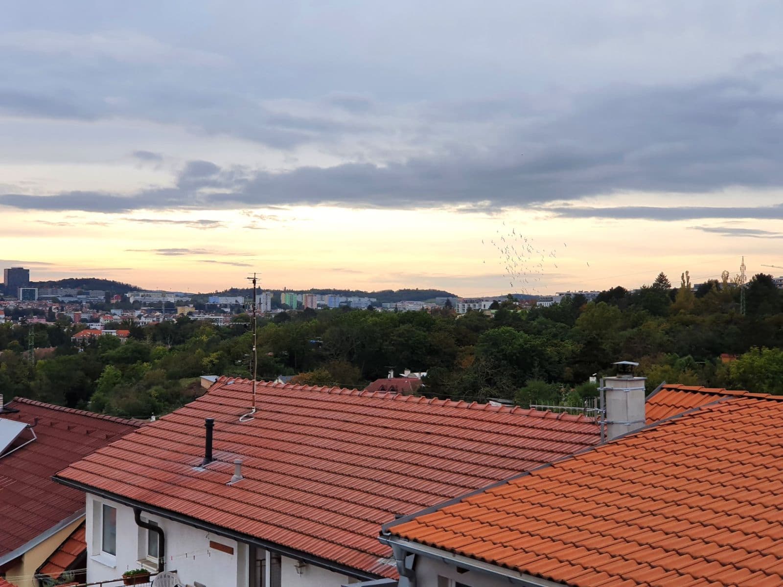 Pronájem bytu 1+kk 24 m², Kosatcová, Brno, Jihomoravský kraj Pronájem bytu 1+kk 24 m², Kosatcová, Brno, Jihomoravský kraj