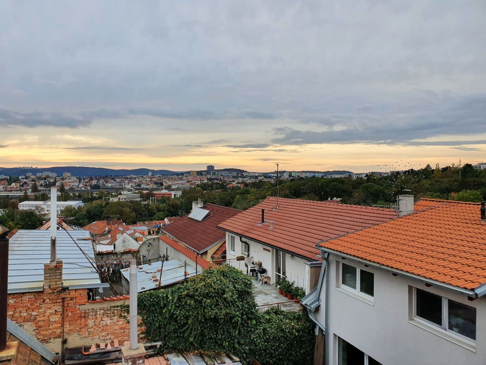 Pronájem bytu 1+kk 24 m², Kosatcová, Brno, Jihomoravský kraj Pronájem bytu 1+kk 24 m², Kosatcová, Brno, Jihomoravský kraj