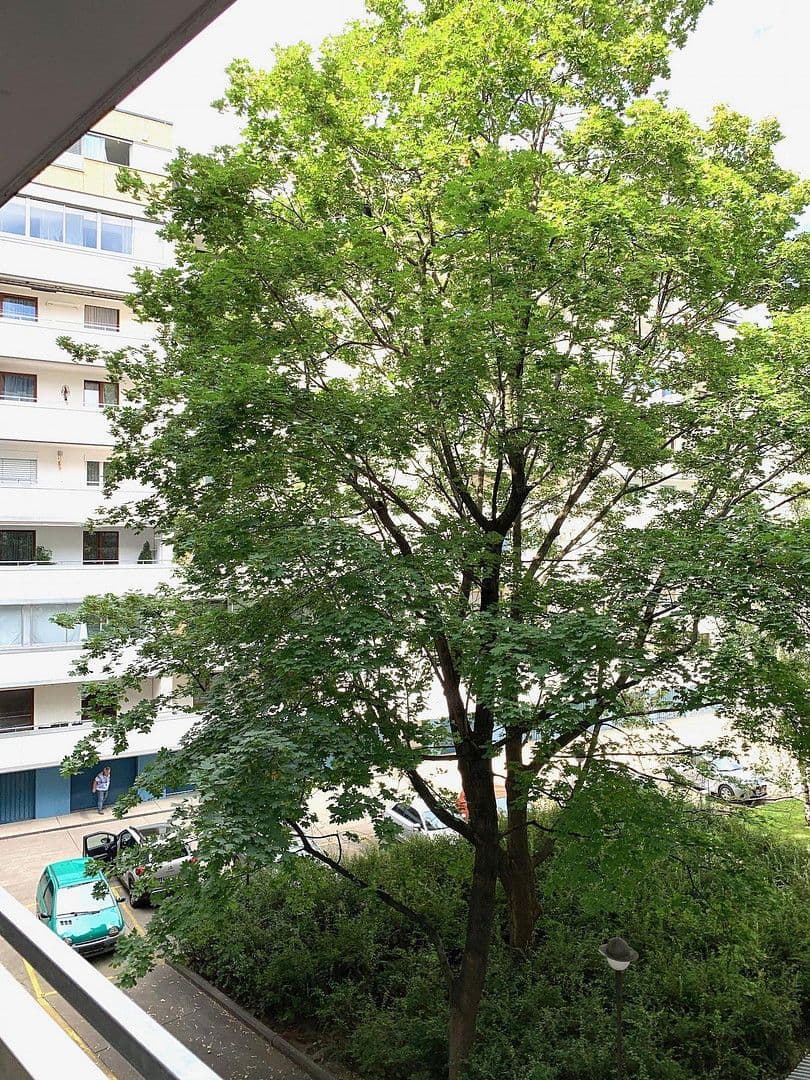 Pronájem bytu 1+kk 40 m², Universumstrasse, Wien, 20. Bezirk, Brigittenau, Wien Pronájem bytu 1+kk 40 m², Universumstrasse, Wien, 20. Bezirk, Brigittenau, Wien