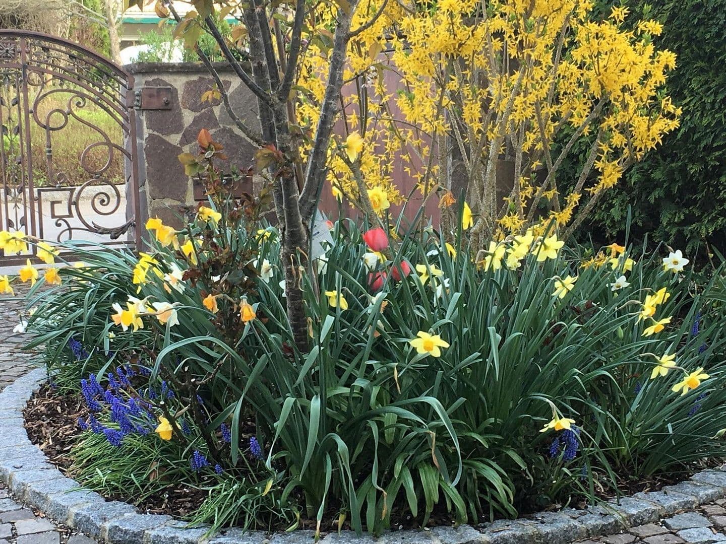 Prodej domu 278 m², pozemek 679 m², Neusäß, Bavorsko Prodej domu 278 m², pozemek 679 m², Neusäß, Bavorsko