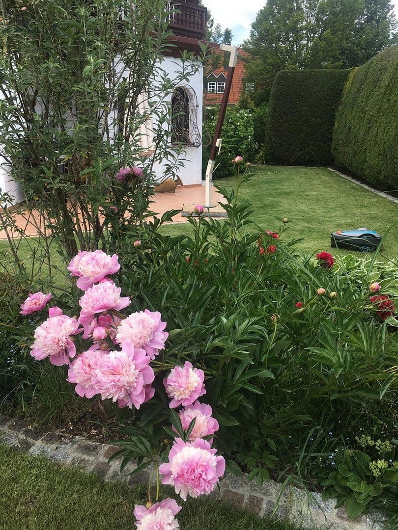 Prodej domu 278 m², pozemek 679 m², Neusäß, Bavorsko Prodej domu 278 m², pozemek 679 m², Neusäß, Bavorsko