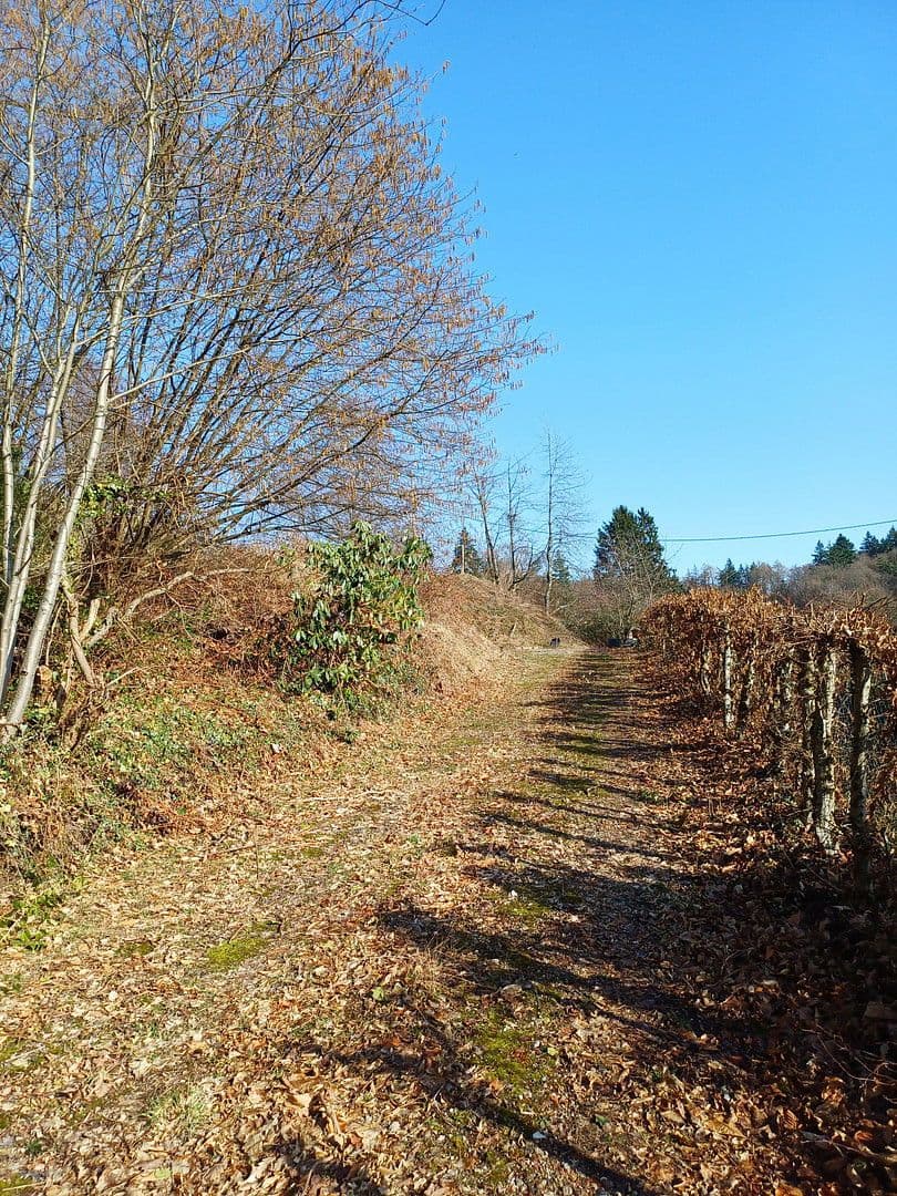 Prodej pozemku 2.000 m², Rainweg 15, Wilhelmsfeld, Bádensko-Württembersko Prodej pozemku 2.000 m², Rainweg 15, Wilhelmsfeld, Bádensko-Württembersko