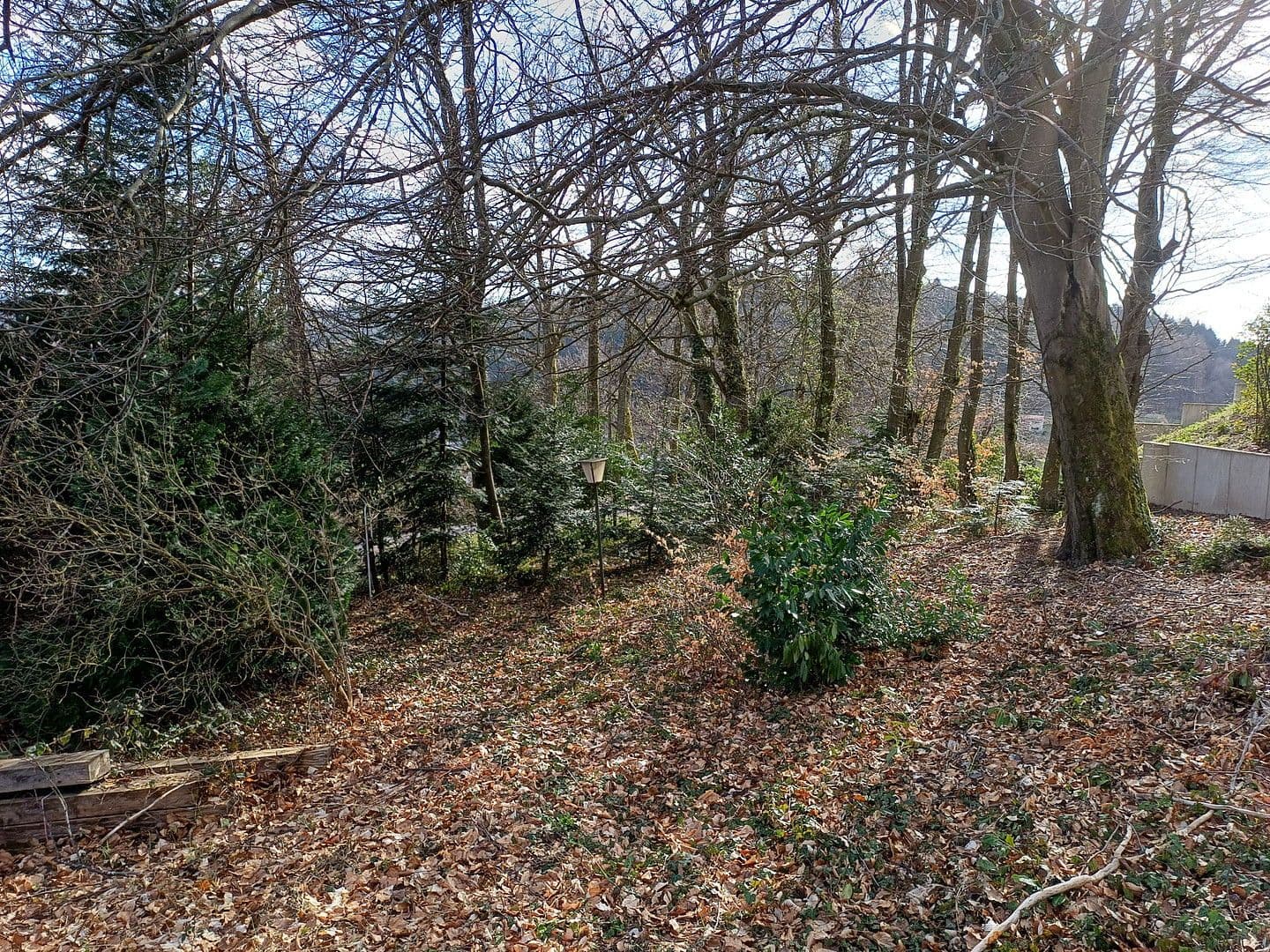 Prodej pozemku 2.000 m², Rainweg 15, Wilhelmsfeld, Bádensko-Württembersko Prodej pozemku 2.000 m², Rainweg 15, Wilhelmsfeld, Bádensko-Württembersko