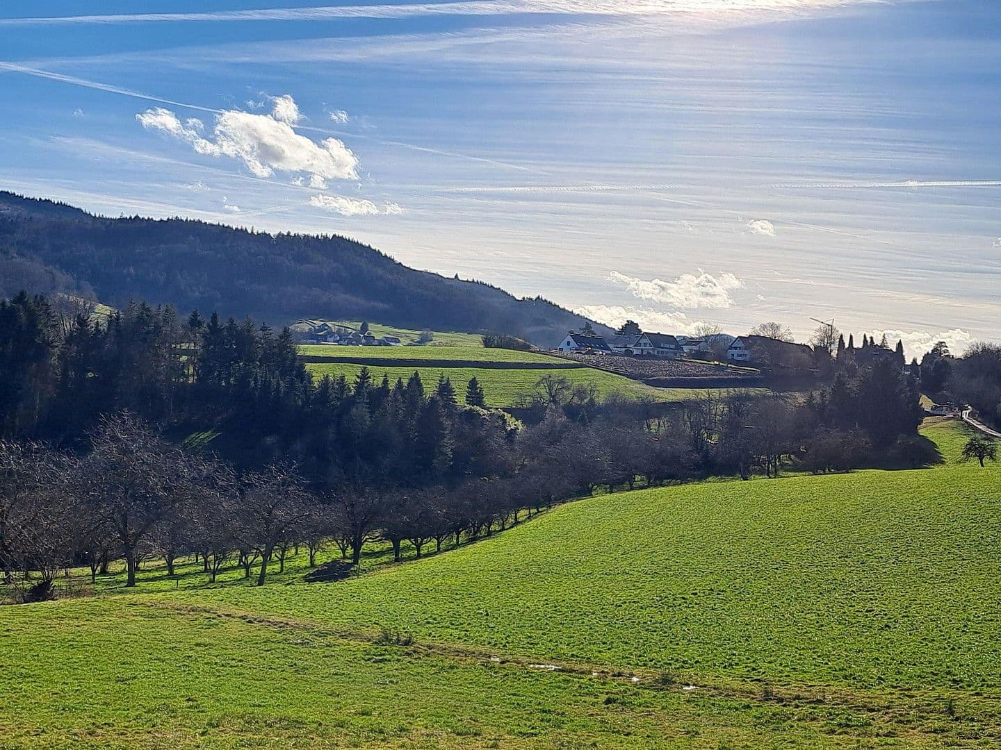 Prodej bytu 4+1 128 m², Wittnau, Bádensko-Württembersko Prodej bytu 4+1 128 m², Wittnau, Bádensko-Württembersko
