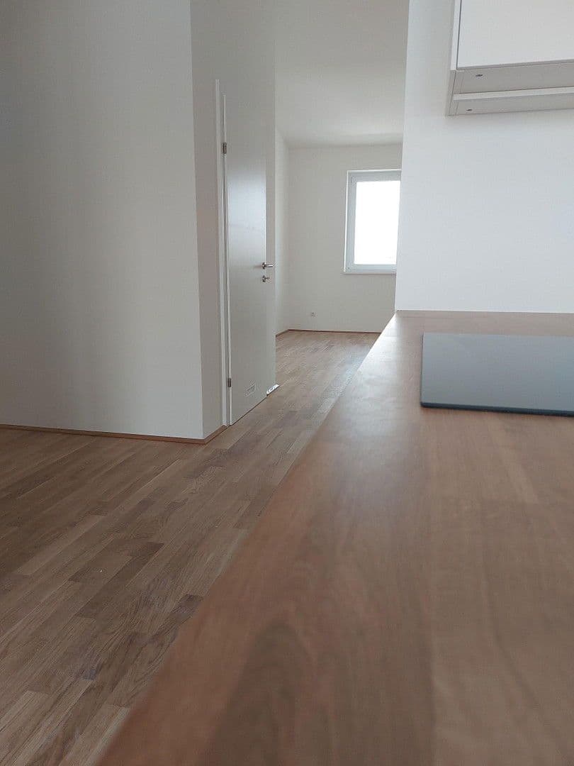 Pronájem bytu 2+kk 66 m², Wienerstr. 29, Linz, Horní Rakousko Pronájem bytu 2+kk 66 m², Wienerstr. 29, Linz, Horní Rakousko