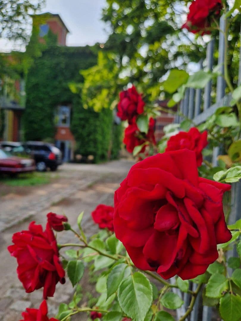 Pronájem bytu 3+1 200 m², Berlin, Berlín Pronájem bytu 3+1 200 m², Berlin, Berlín