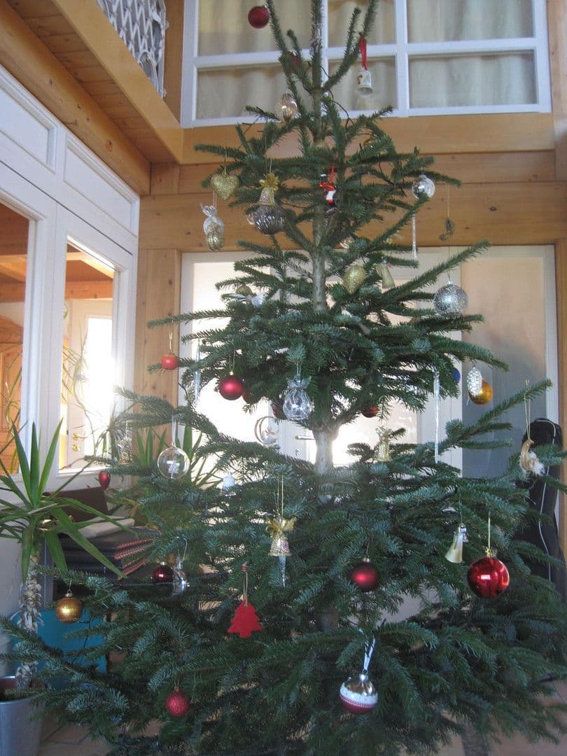 Prodej domu 258 m², pozemek 659 m², Halfing, Bavorsko Prodej domu 258 m², pozemek 659 m², Halfing, Bavorsko