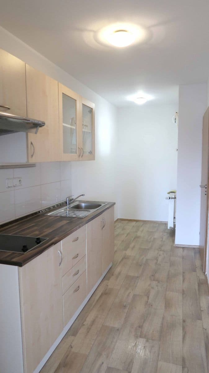 Pronájem bytu 1+1 35 m², Jeronýmova, Brno, Jihomoravský kraj Pronájem bytu 1+1 35 m², Jeronýmova, Brno, Jihomoravský kraj