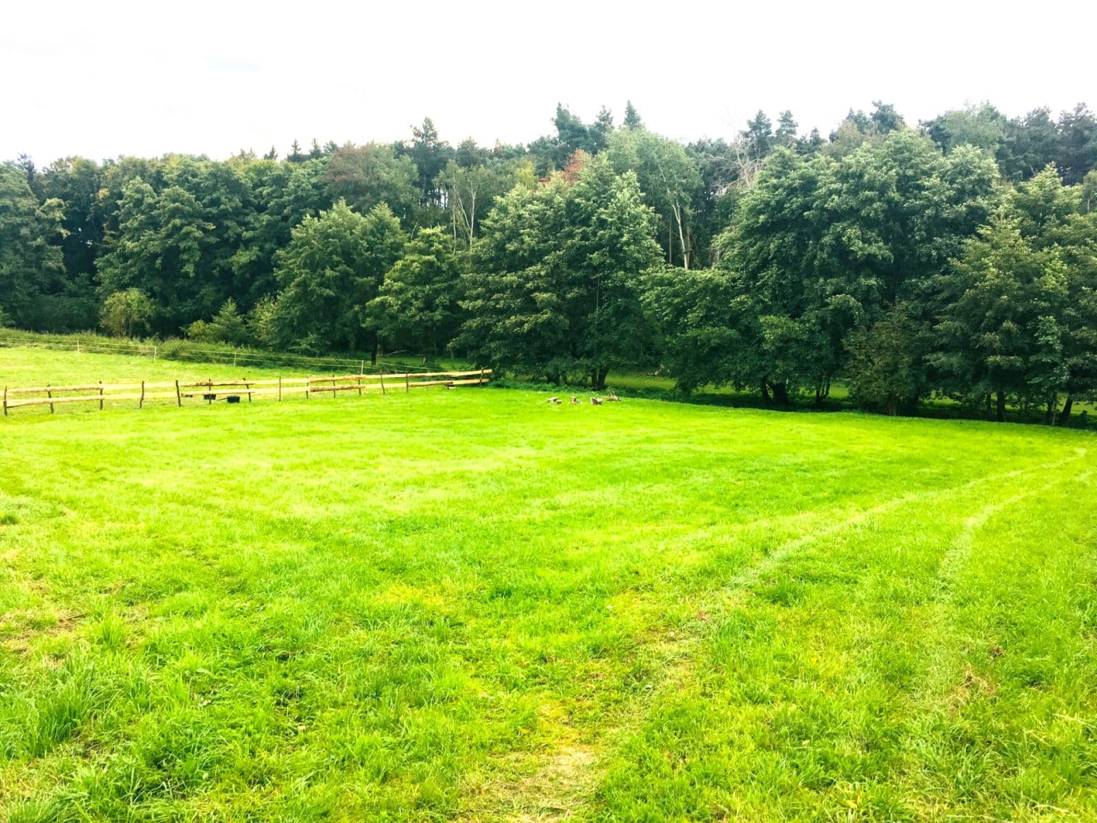 Prodej pozemku 36.000 m², Podolanka, Středočeský kraj Prodej pozemku 36.000 m², Podolanka, Středočeský kraj