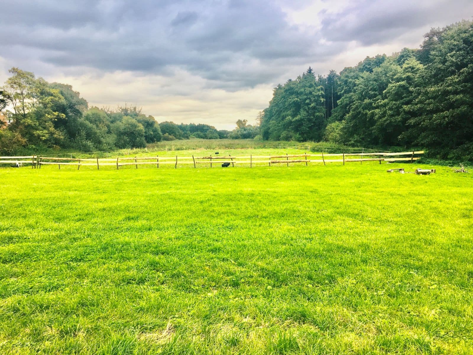 Prodej pozemku 36.000 m², Podolanka, Středočeský kraj Prodej pozemku 36.000 m², Podolanka, Středočeský kraj