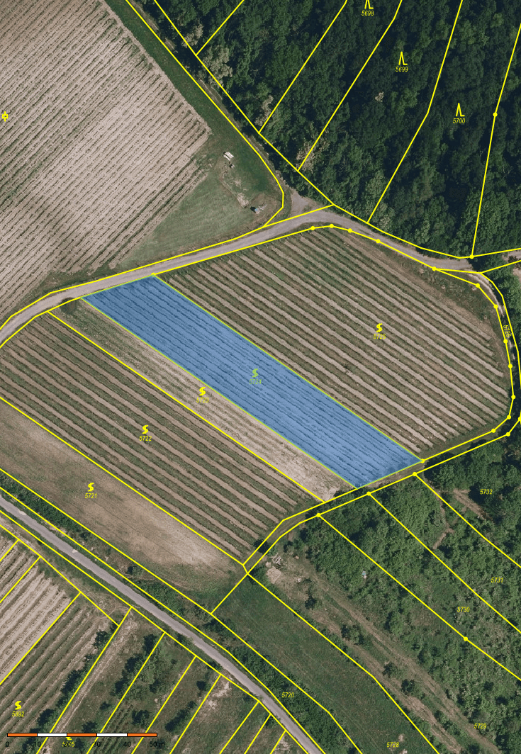 Prodej pozemku 2.219 m², Němčičky, Jihomoravský kraj Prodej pozemku 2.219 m², Němčičky, Jihomoravský kraj