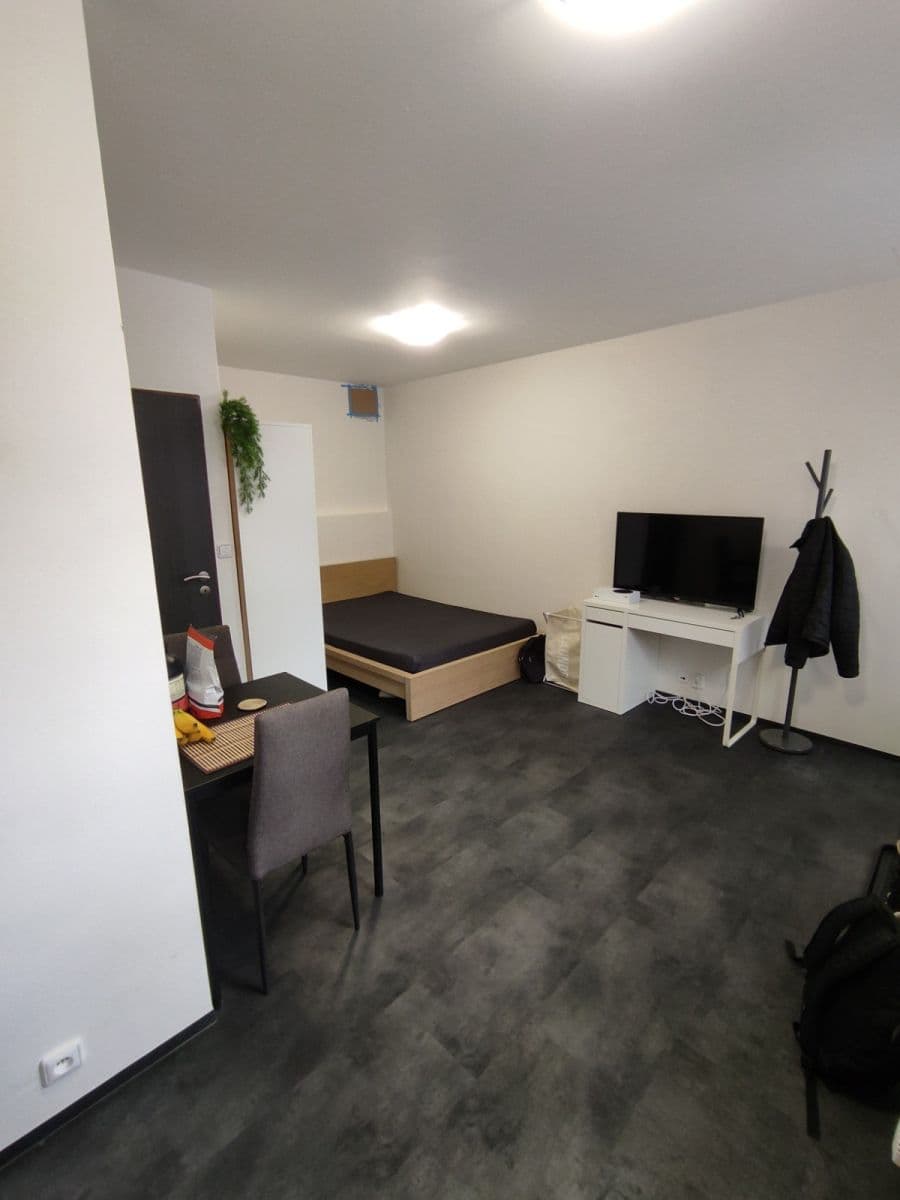 Pronájem bytu 1+kk 26 m², Votroubkova, Brno, Jihomoravský kraj Pronájem bytu 1+kk 26 m², Votroubkova, Brno, Jihomoravský kraj