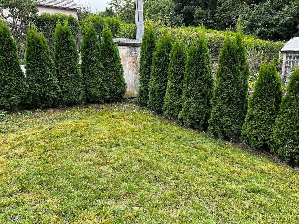 Prodej domu 175 m², pozemek 378 m², Plzeň, Plzeňský kraj Prodej domu 175 m², pozemek 378 m², Plzeň, Plzeňský kraj