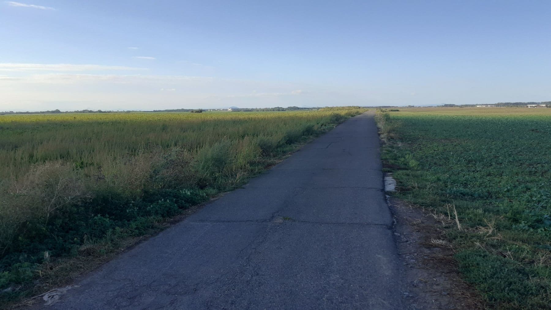 Pronájem bytu 2+kk 43 m², V Honech, Klecany, Středočeský kraj Pronájem bytu 2+kk 43 m², V Honech, Klecany, Středočeský kraj