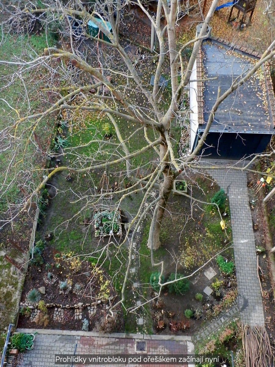 Pronájem bytu 2+kk 46 m², Renneská třída, Brno, Jihomoravský kraj Pronájem bytu 2+kk 46 m², Renneská třída, Brno, Jihomoravský kraj