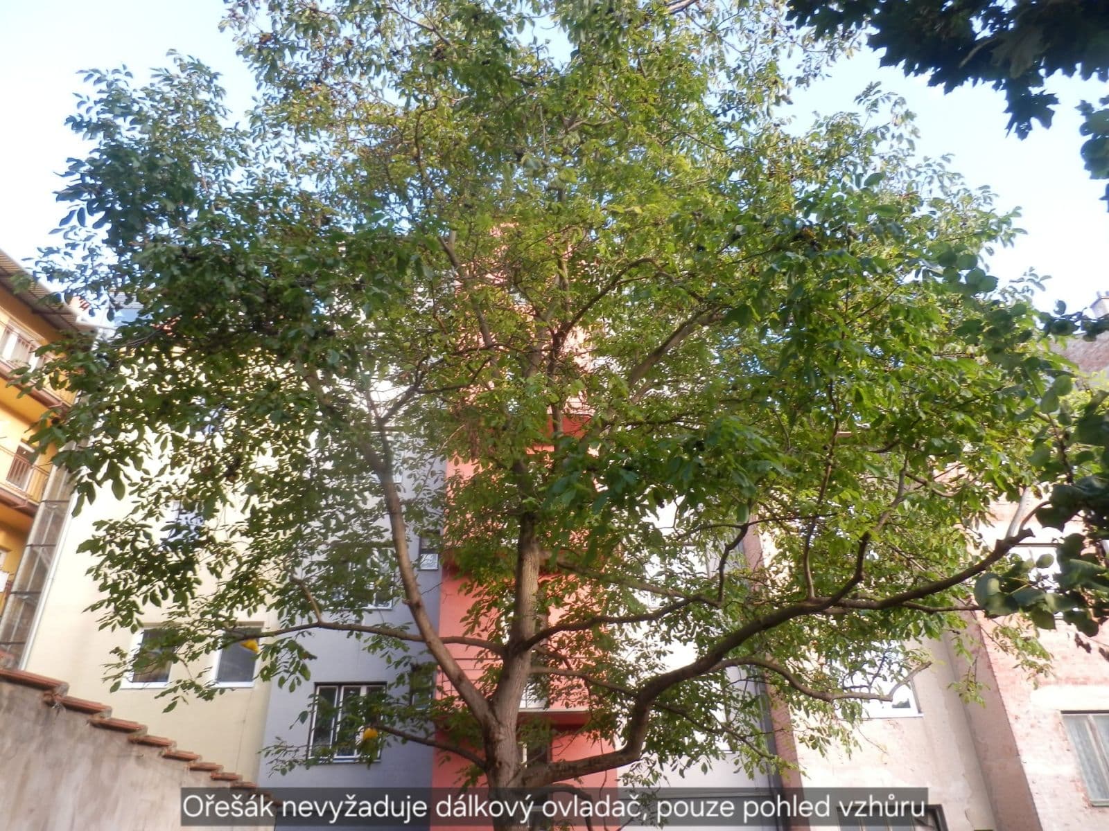 Pronájem bytu 2+kk 46 m², Renneská třída, Brno, Jihomoravský kraj Pronájem bytu 2+kk 46 m², Renneská třída, Brno, Jihomoravský kraj