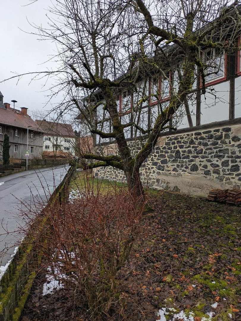 Pronájem domu 95 m², pozemek 150 m², Brachttal, Hessen Pronájem domu 95 m², pozemek 150 m², Brachttal, Hessen