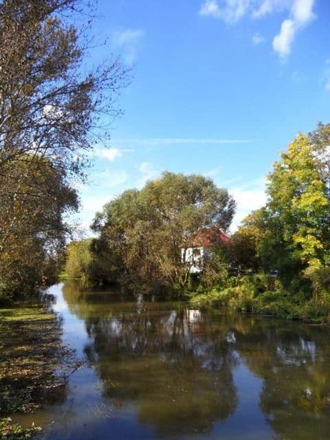 Prodej domu 930 m², pozemek 1.795 m², Stahmelnerstr. 107, Leipzig, Sasko Prodej domu 930 m², pozemek 1.795 m², Stahmelnerstr. 107, Leipzig, Sasko