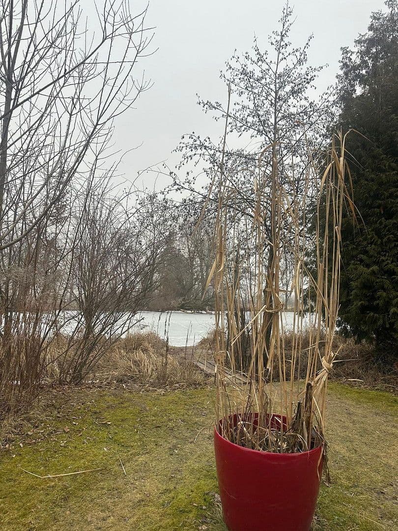 Pronájem domu 150 m², pozemek 290 m², Oberschleißheim, Bavorsko Pronájem domu 150 m², pozemek 290 m², Oberschleißheim, Bavorsko