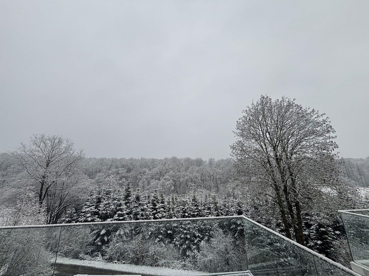 Prodej bytu 4+1 140 m², Neunkirchen-Seelscheid, Severní Porýní-Vestfálsko Prodej bytu 4+1 140 m², Neunkirchen-Seelscheid, Severní Porýní-Vestfálsko