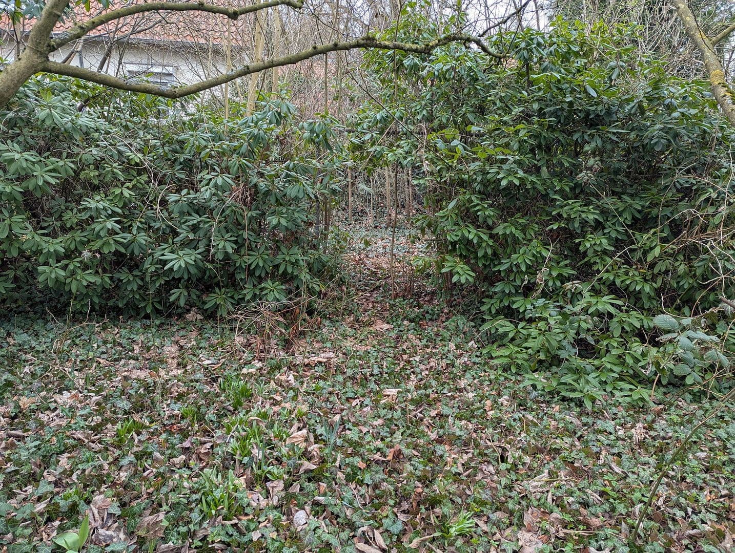 Prodej domu 123 m², pozemek 1.041 m², Herrmann-Löns-Weg 37, Salzgitter, Dolní Sasko Prodej domu 123 m², pozemek 1.041 m², Herrmann-Löns-Weg 37, Salzgitter, Dolní Sasko