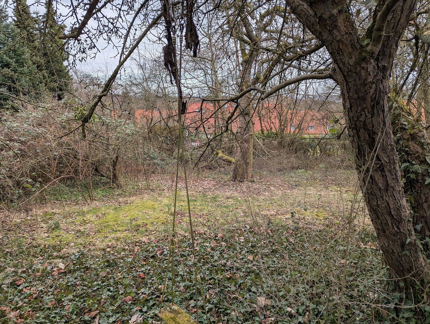 Prodej domu 123 m², pozemek 1.041 m², Herrmann-Löns-Weg 37, Salzgitter, Dolní Sasko Prodej domu 123 m², pozemek 1.041 m², Herrmann-Löns-Weg 37, Salzgitter, Dolní Sasko