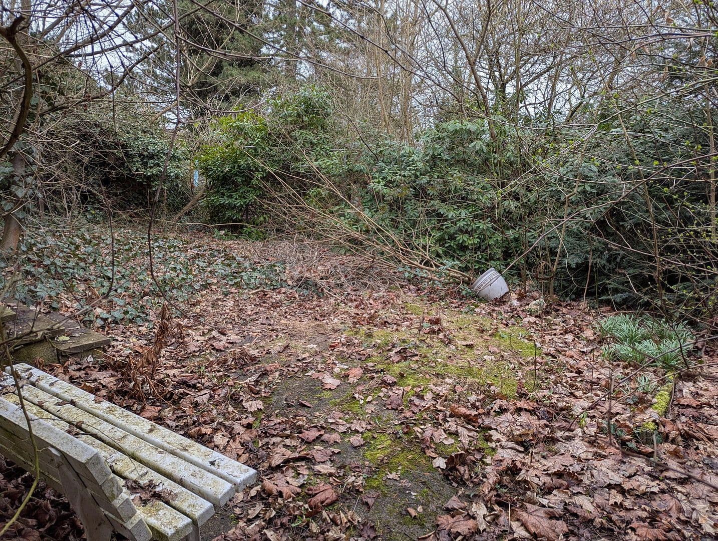 Prodej domu 123 m², pozemek 1.041 m², Herrmann-Löns-Weg 37, Salzgitter, Dolní Sasko Prodej domu 123 m², pozemek 1.041 m², Herrmann-Löns-Weg 37, Salzgitter, Dolní Sasko