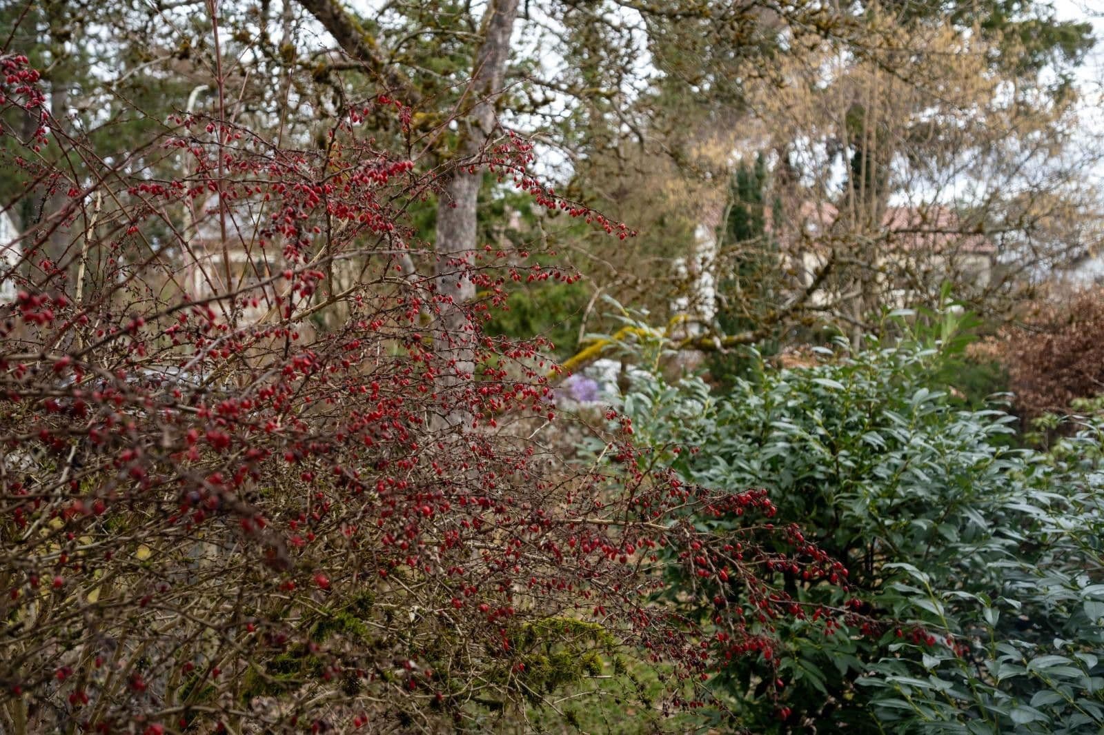 Prodej domu 110 m², pozemek 530 m², Anton-Bruckner-Str. 44, Vaterstetten, Bavorsko Prodej domu 110 m², pozemek 530 m², Anton-Bruckner-Str. 44, Vaterstetten, Bavorsko