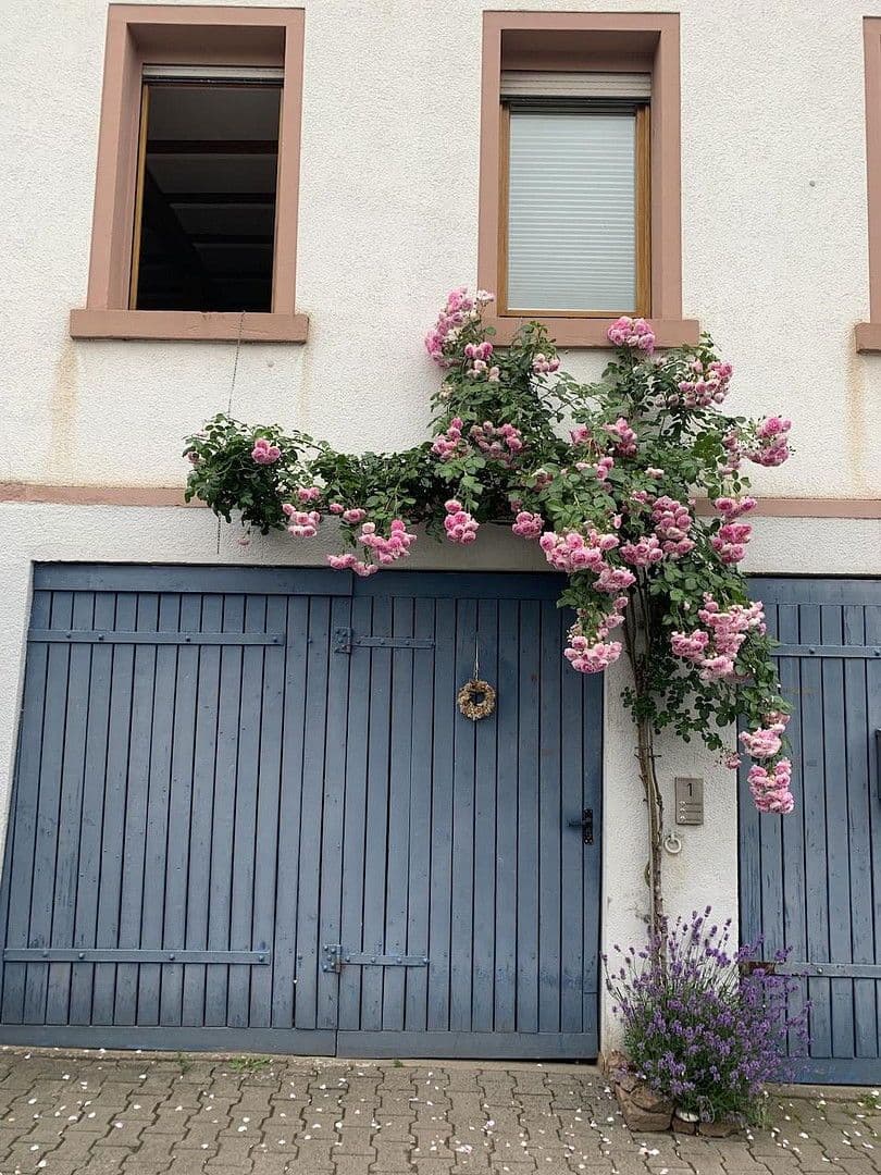 Pronájem domu 167 m², pozemek 125 m², Otzberg, Hessen Pronájem domu 167 m², pozemek 125 m², Otzberg, Hessen