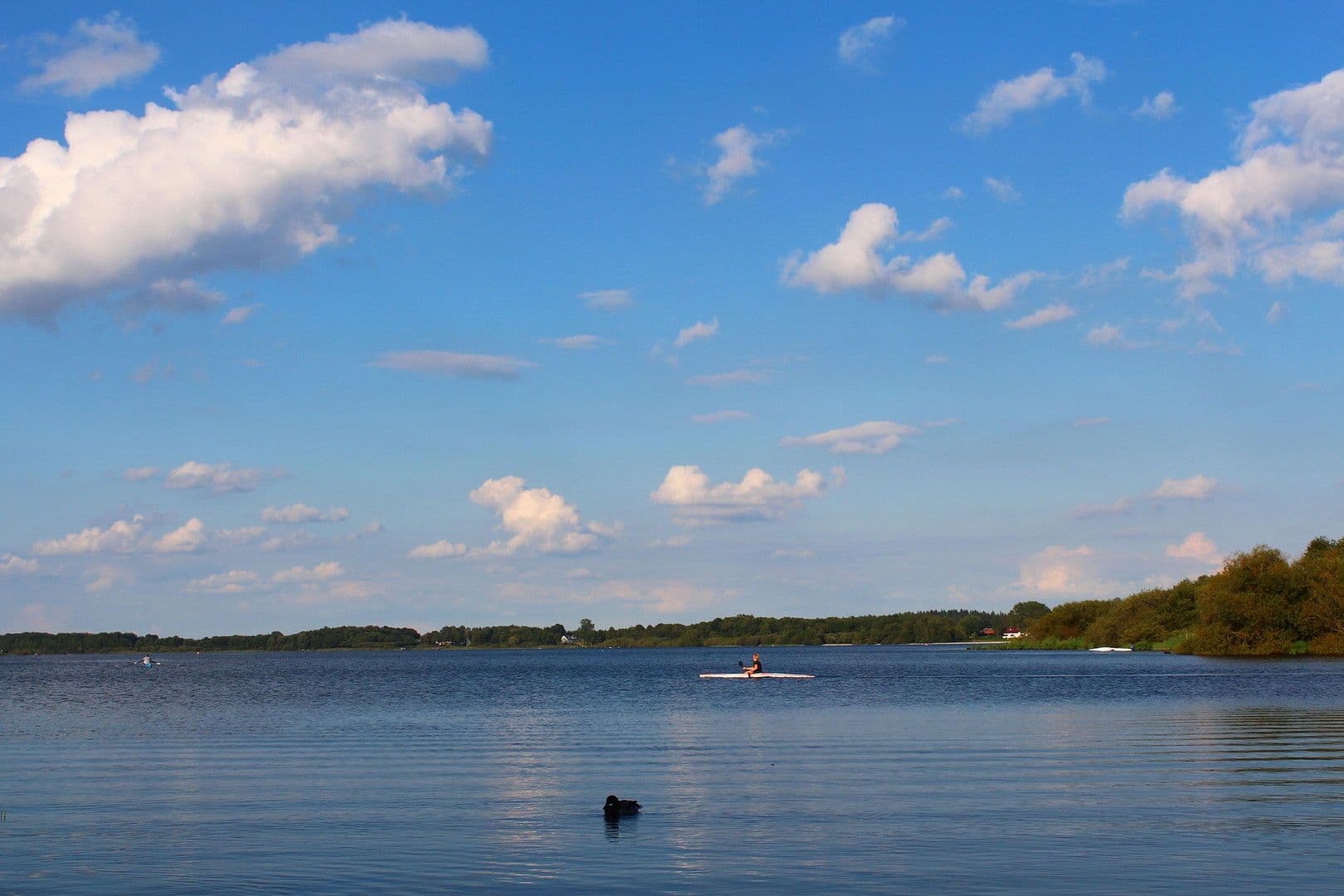 Prodej domu 167 m², pozemek 152 m², Neumünster, Šlesvicko-Holštýnsko Prodej domu 167 m², pozemek 152 m², Neumünster, Šlesvicko-Holštýnsko