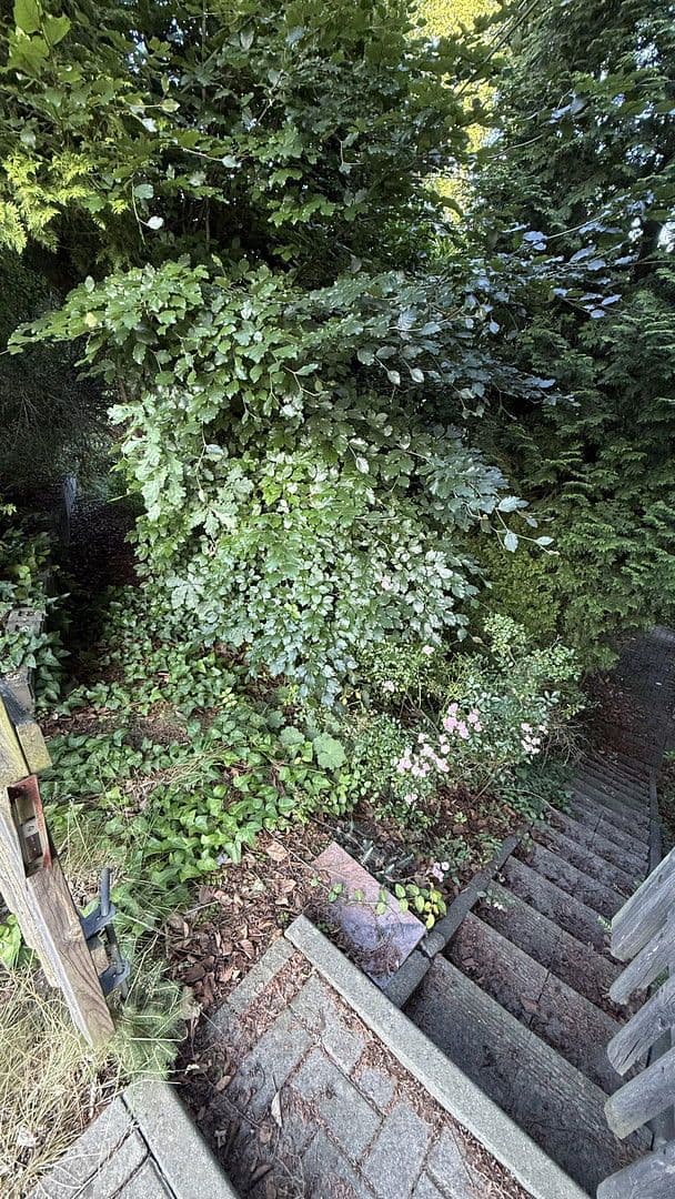 Prodej domu 130 m², pozemek 535 m², Aue-Bad Schlema, Sasko Prodej domu 130 m², pozemek 535 m², Aue-Bad Schlema, Sasko