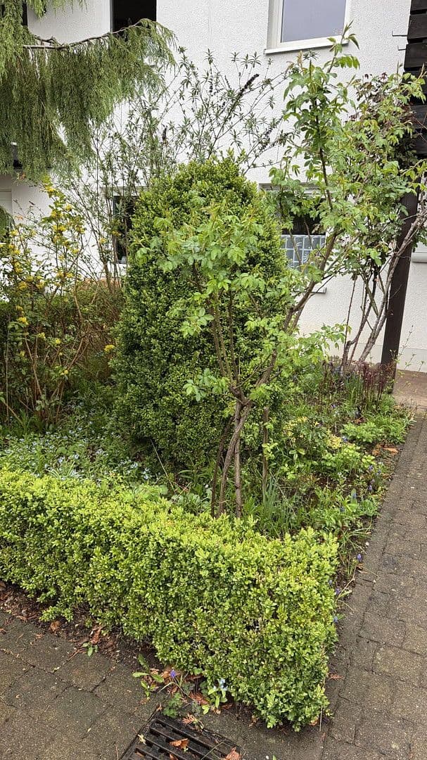 Prodej domu 130 m², pozemek 535 m², Aue-Bad Schlema, Sasko Prodej domu 130 m², pozemek 535 m², Aue-Bad Schlema, Sasko