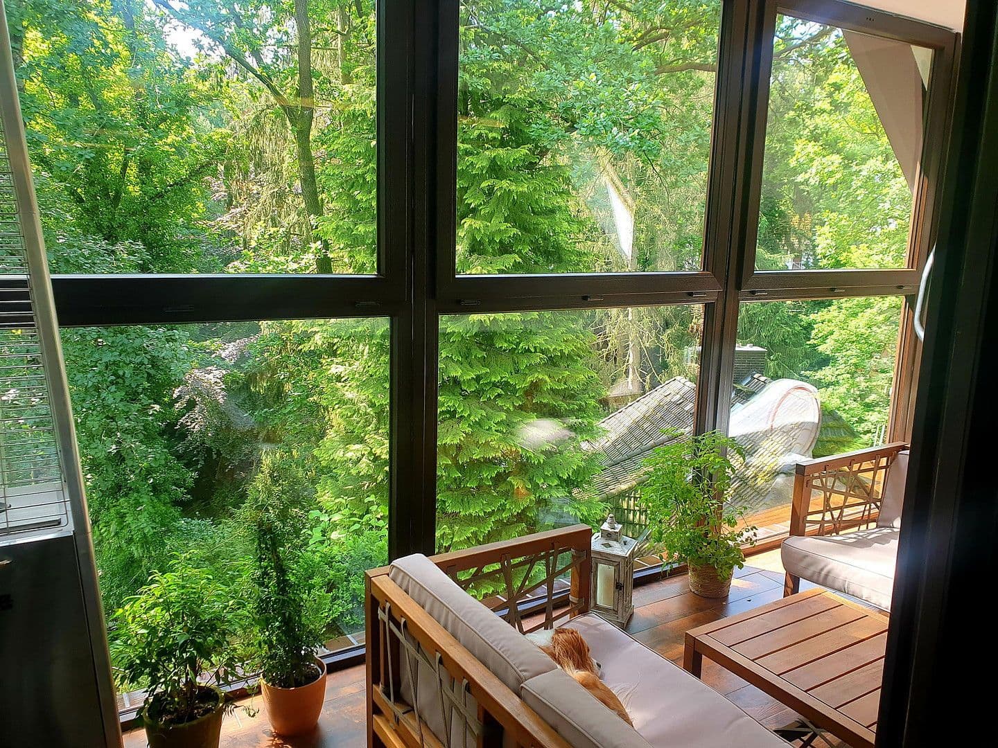 Pronájem bytu 4+1 150 m², Hamburg, Hamburg Pronájem bytu 4+1 150 m², Hamburg, Hamburg