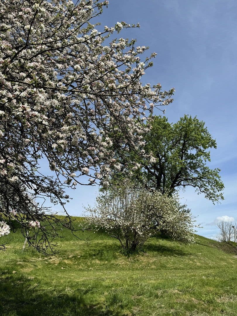 Prodej domu 818 m², pozemek 70.000 m², Leutkirch im Allgäu, Bádensko-Württembersko Prodej domu 818 m², pozemek 70.000 m², Leutkirch im Allgäu, Bádensko-Württembersko