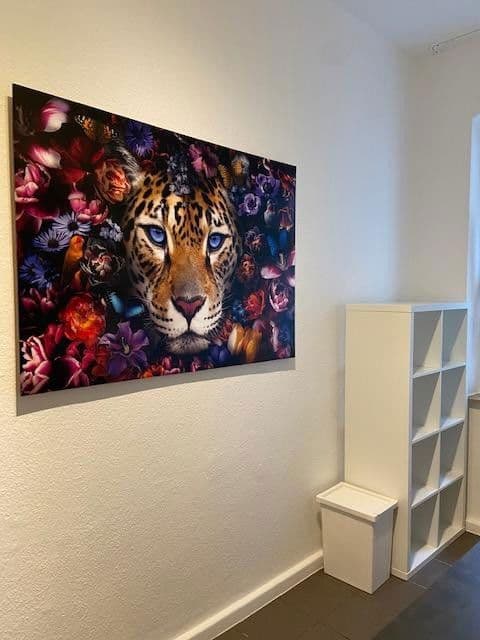 Pronájem bytu 16 m², Hasselsstraße 33, Düsseldorf, Severní Porýní-Vestfálsko Pronájem bytu 16 m², Hasselsstraße 33, Düsseldorf, Severní Porýní-Vestfálsko