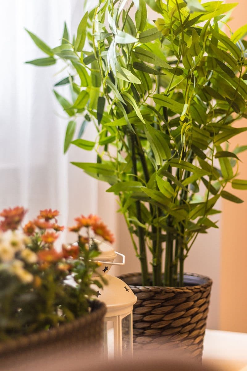 Pronájem bytu 2+kk 30 m², Plynární, Praha, Praha Pronájem bytu 2+kk 30 m², Plynární, Praha, Praha